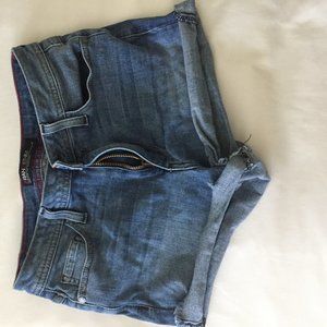 Fran Denim Erin Shorts